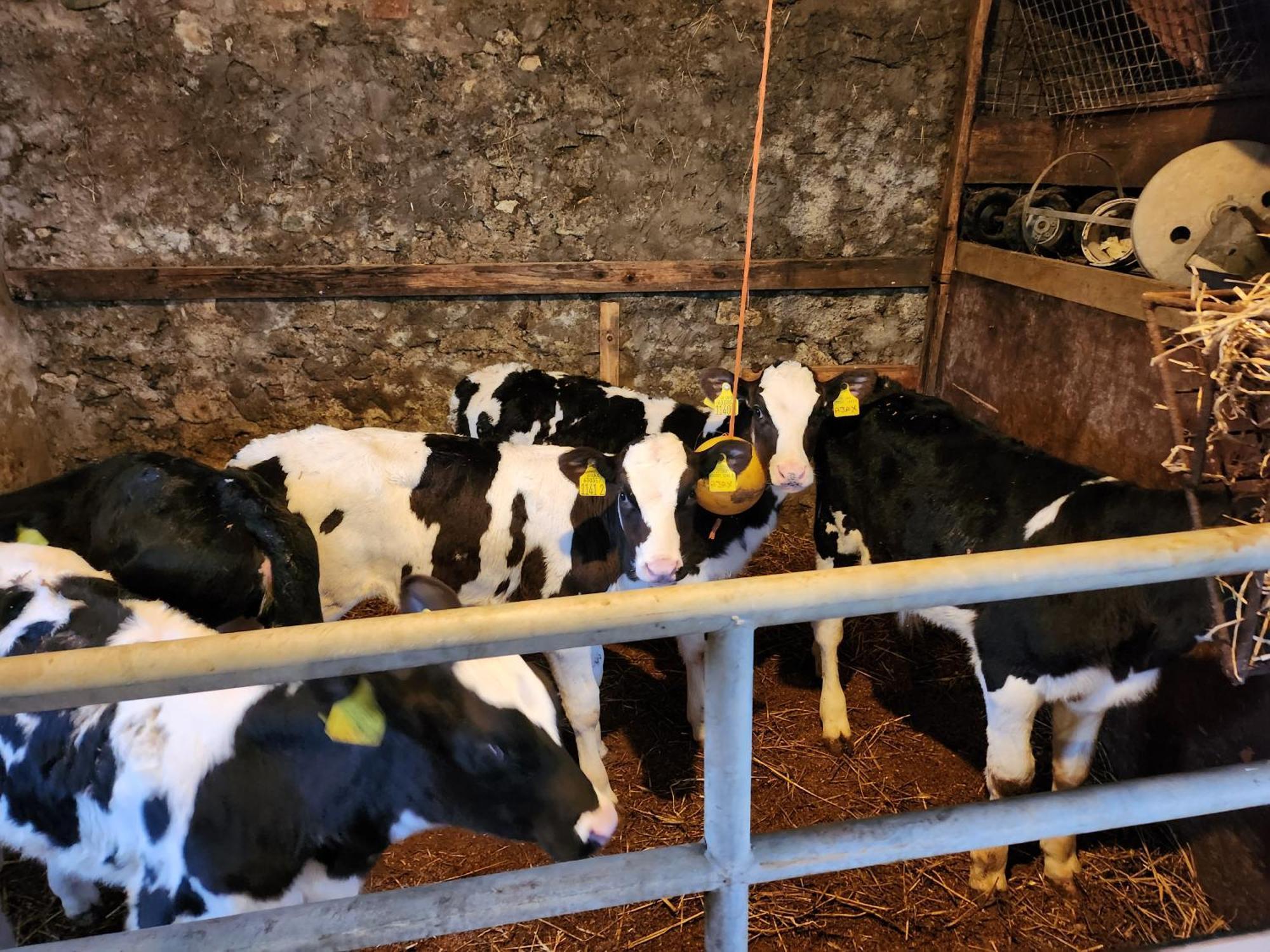 מלון Pomeroy Kerrib Farm מראה חיצוני תמונה