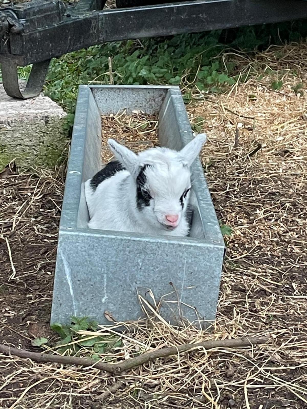 מלון Pomeroy Kerrib Farm מראה חיצוני תמונה